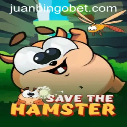 SavetheHamster: A Unique Gaming Experience with JUANBINGO